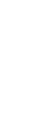 br-1