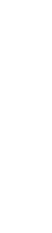br-2